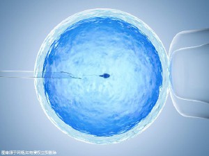 刘阳旭主任